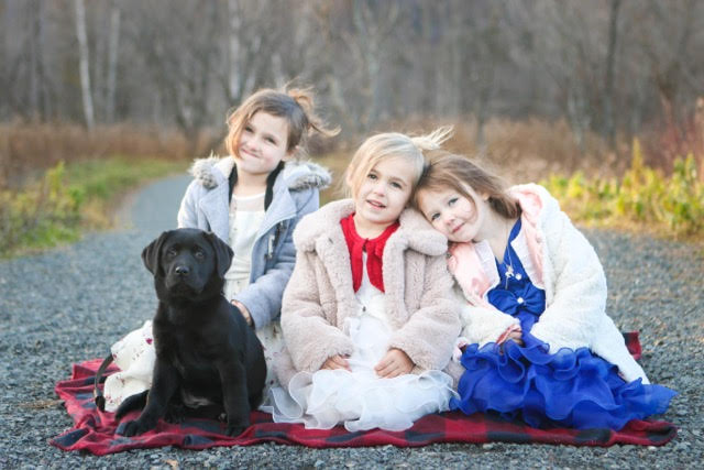 labrador puppy and children